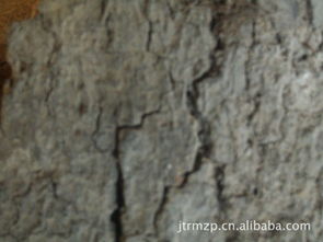 廣西百色市金騰軟木制品廠 專業制造優質軟木制品